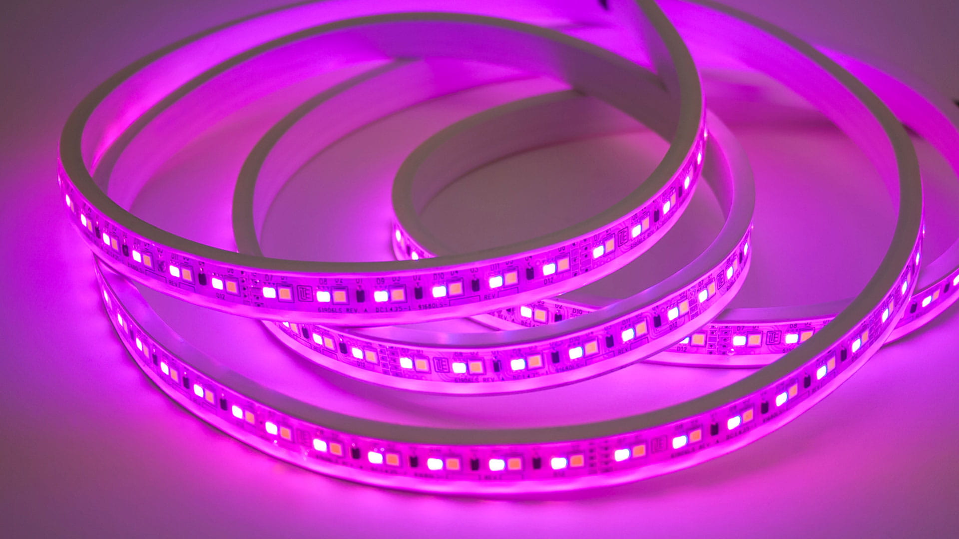 A strip of flexible, magenta-colored Viu lighting