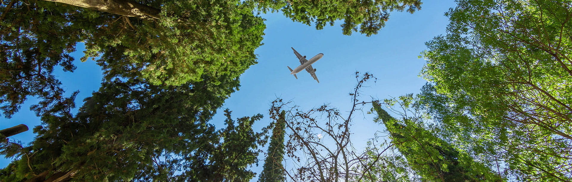 Airplane flying above the forest, bottom view