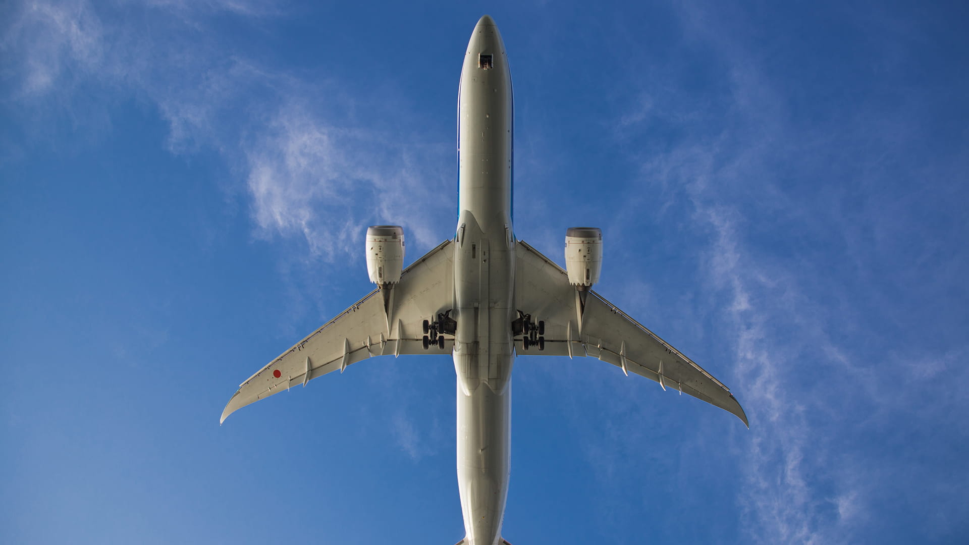 Underside of a Boeing 787 in flight