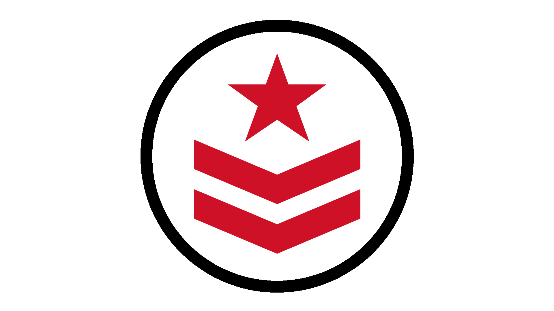 Icon of a military patch with a star and two chevrons