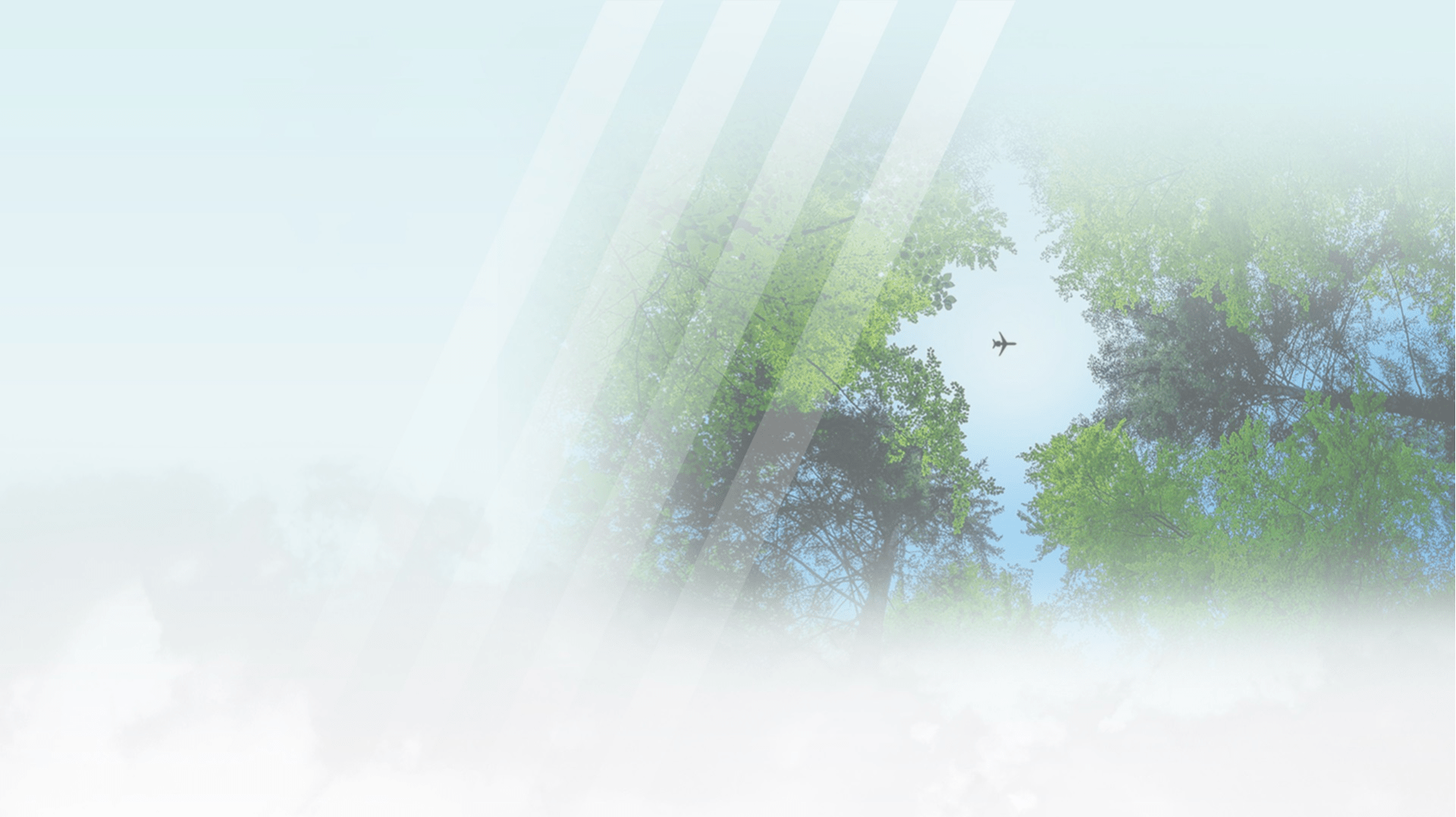HEADER carbon