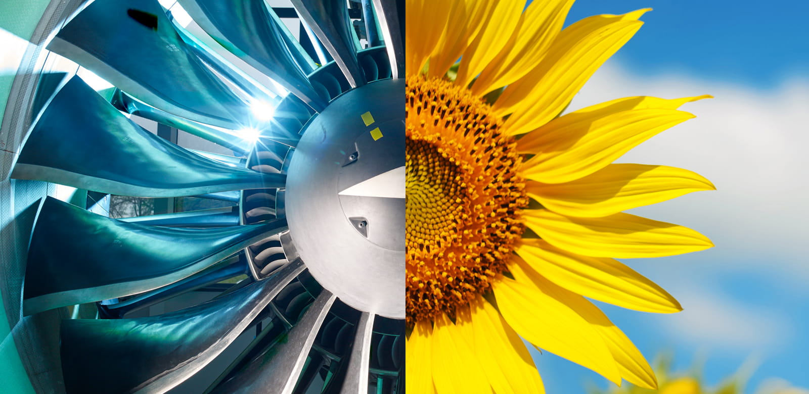 Global Chemical Regulations and Materials of Concern Pratt & Whitney