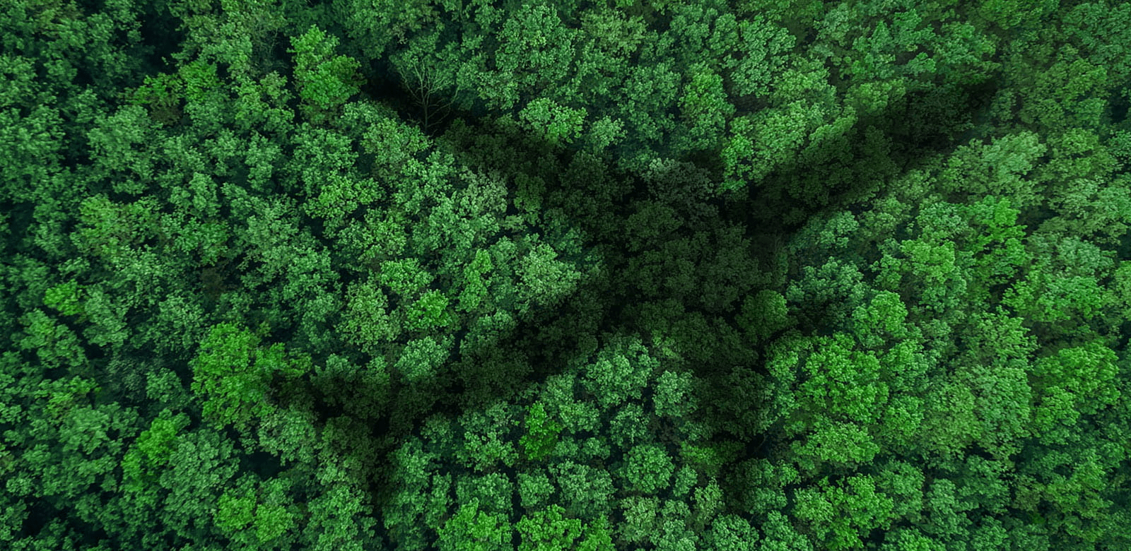 30Sustainability-30Sustainability-Roadnetzero-inline-image-1600x780