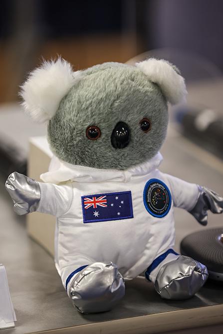 Hayabusa2 Re-entry and landing