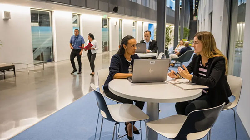corporate employees in an office setting