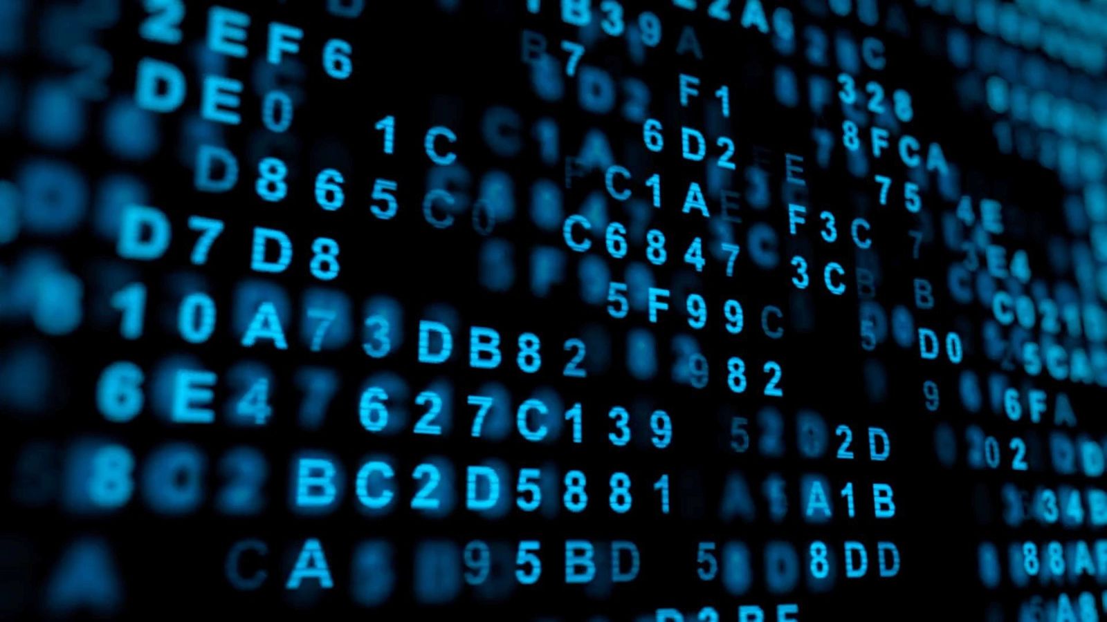 Codes made of blue letters and numbers light up a black screen