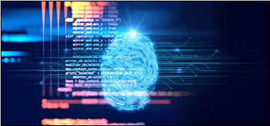 Cyber