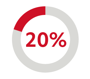 20%