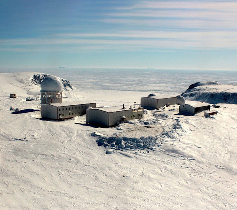 A polar bear standing in the snow