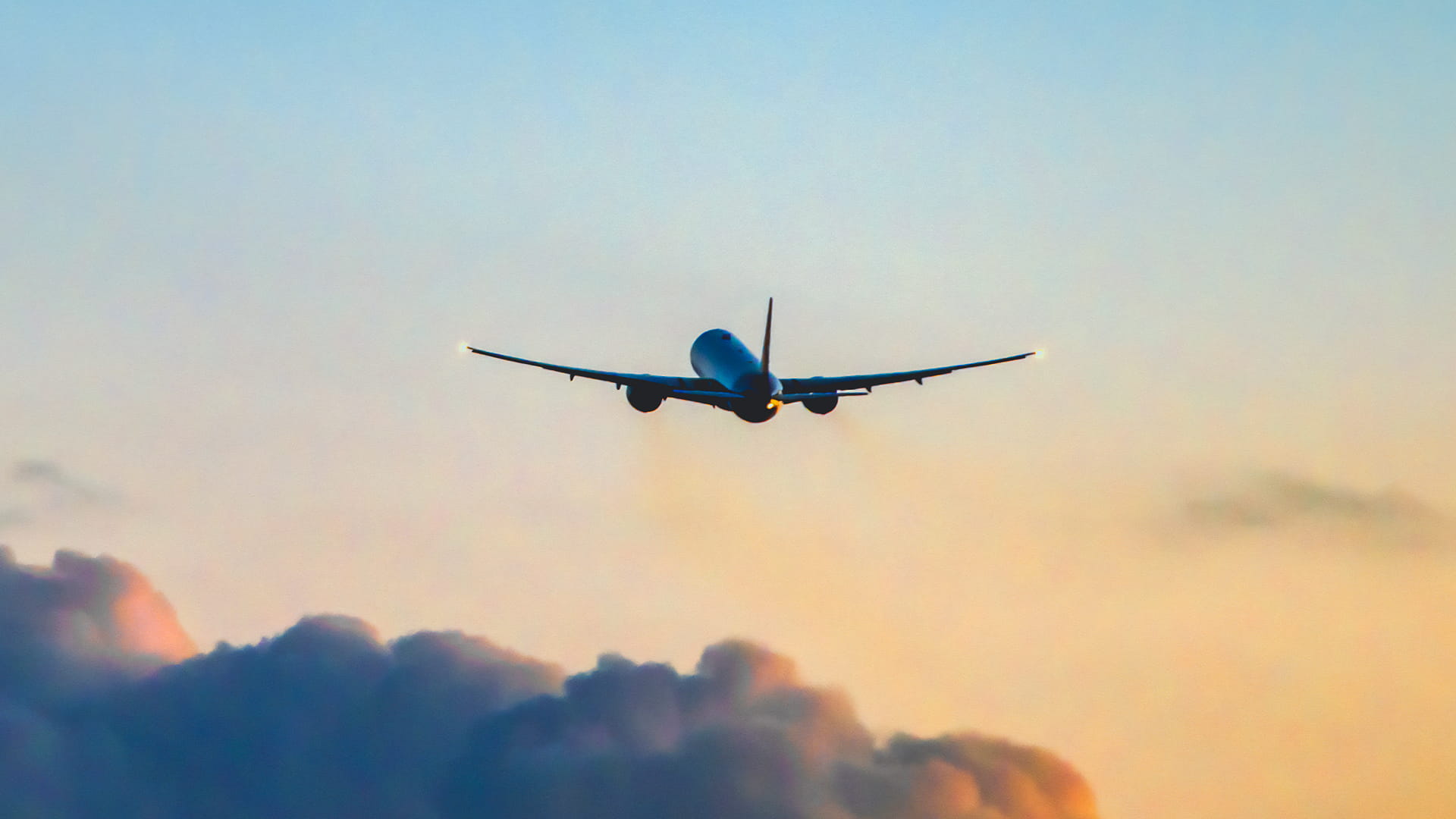 787 in flight