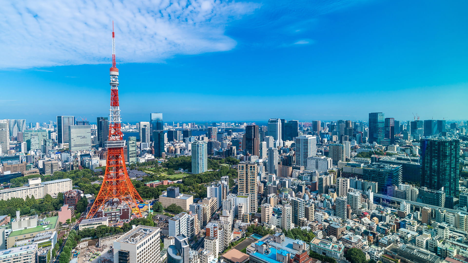 Tokyo skyline featuring Tokyo tower and Mt Fuji