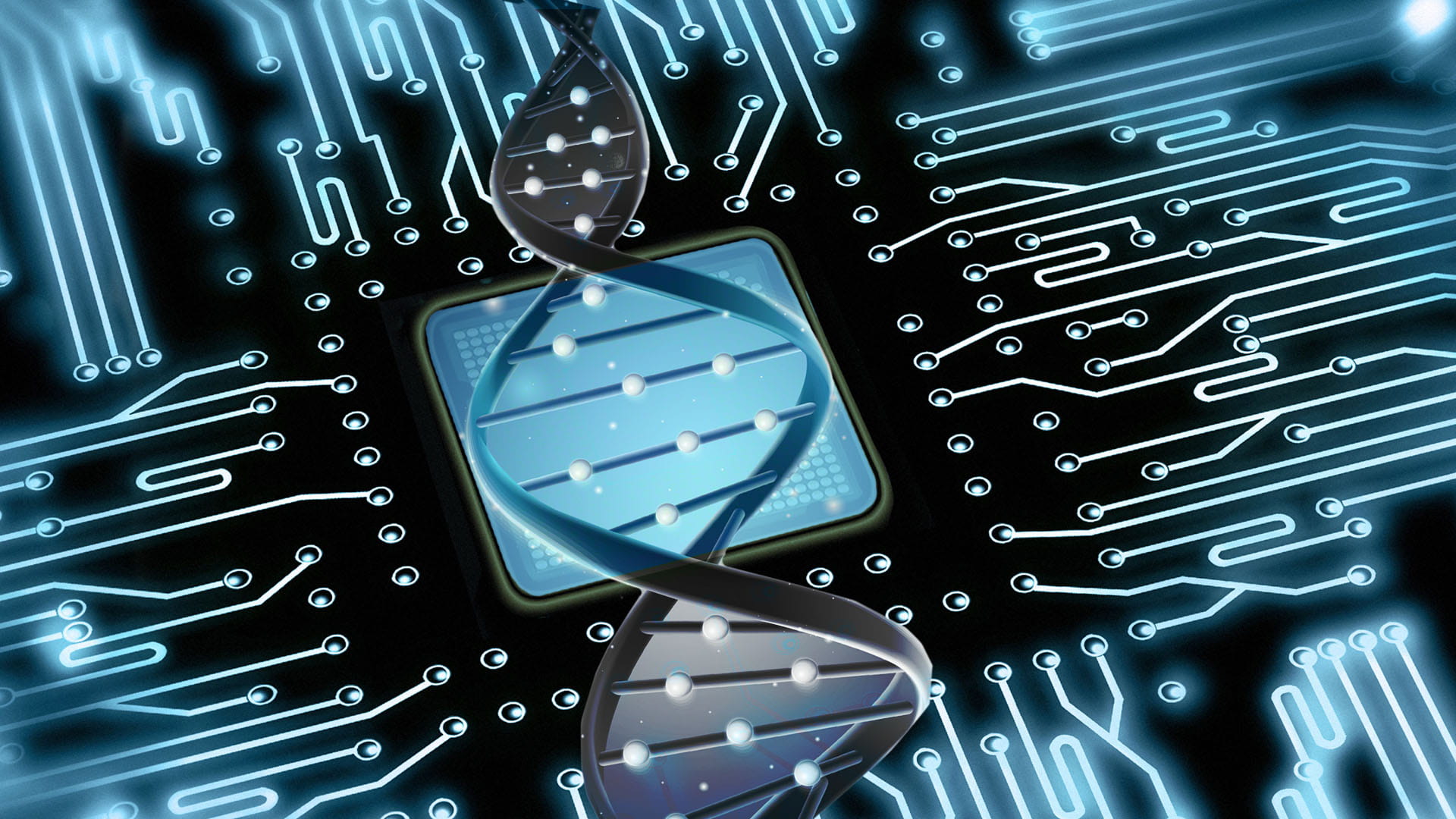 Digital circuit board and DNA strand
