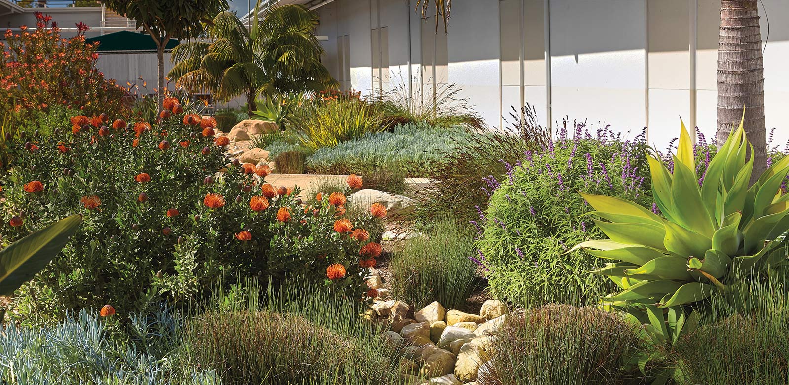 Efficient landscape