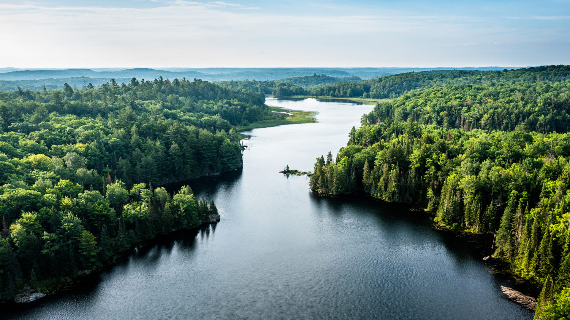 Winding river with luscious green trees on each side. 