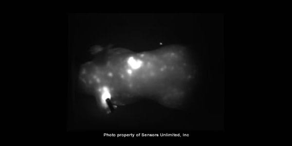 16 Minutes After Injection of Nanotubes