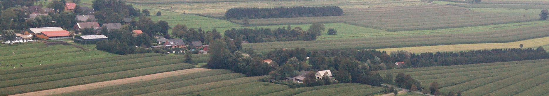 A rural setting with several houses and corn fields