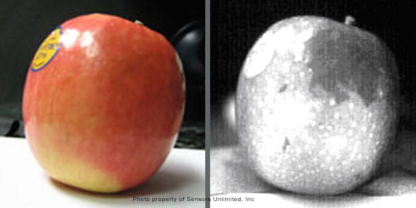 Side-by-side comparison of an apple as viewed by the naked eye versus through a SWIR camera