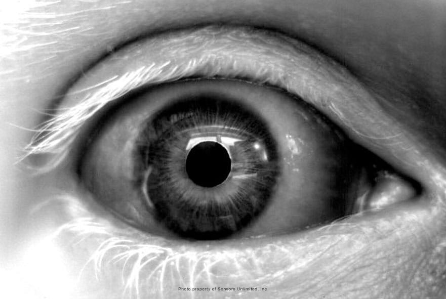 Close up of an eye viewed through visible light