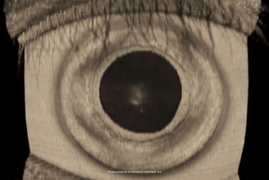 An eye viewed through a SWIR camera