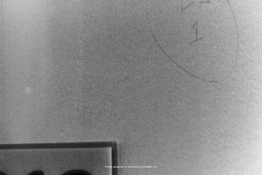 Building inspection through a SWIR camera