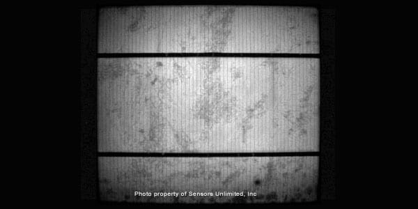 EL image of the same cell taken by the CCD using a 1 second exposure time.