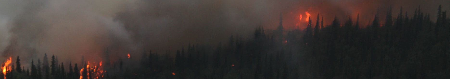 areial view of forest fire