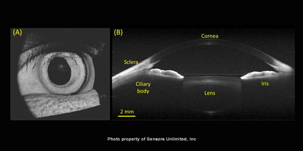 Full Range SD OCT 3D Image