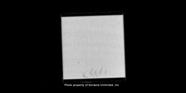 InGaAs 2 d camera w1550 nm