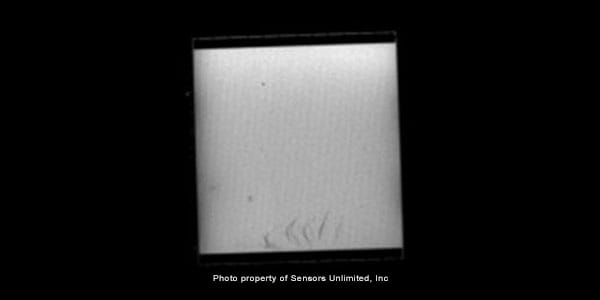 InGaAs 2 d camera w980 nm