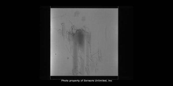 InGaAs SU640KTSX NIR 17RT with 790nm