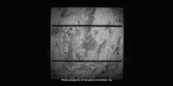 PL image of a finished cell acquired with an InGaAs photodiode array using a 16 ms exposure time, at 60 fps. Camera resolution was 320 x 240 pixels.