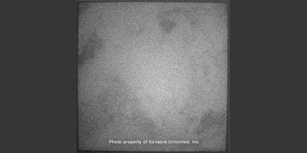 PL image of a wafer taken with CCD using 1 second integration time.