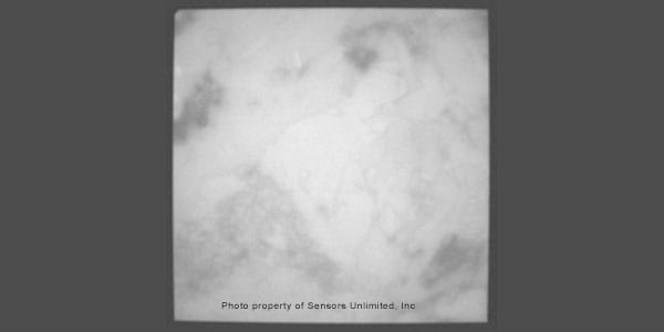 PL image of a wafer, before addition of electrode structures; taken with the InGaAs camera using 16 ms and laser diode illumination of 30 W.