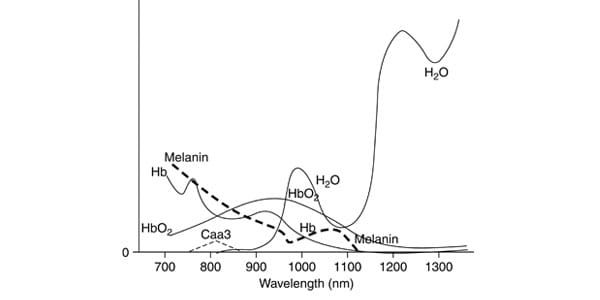 relative absorbance