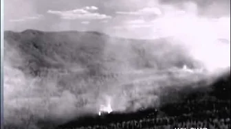 A forest viewed through a SWIR camera during high smoke due to a forest fire