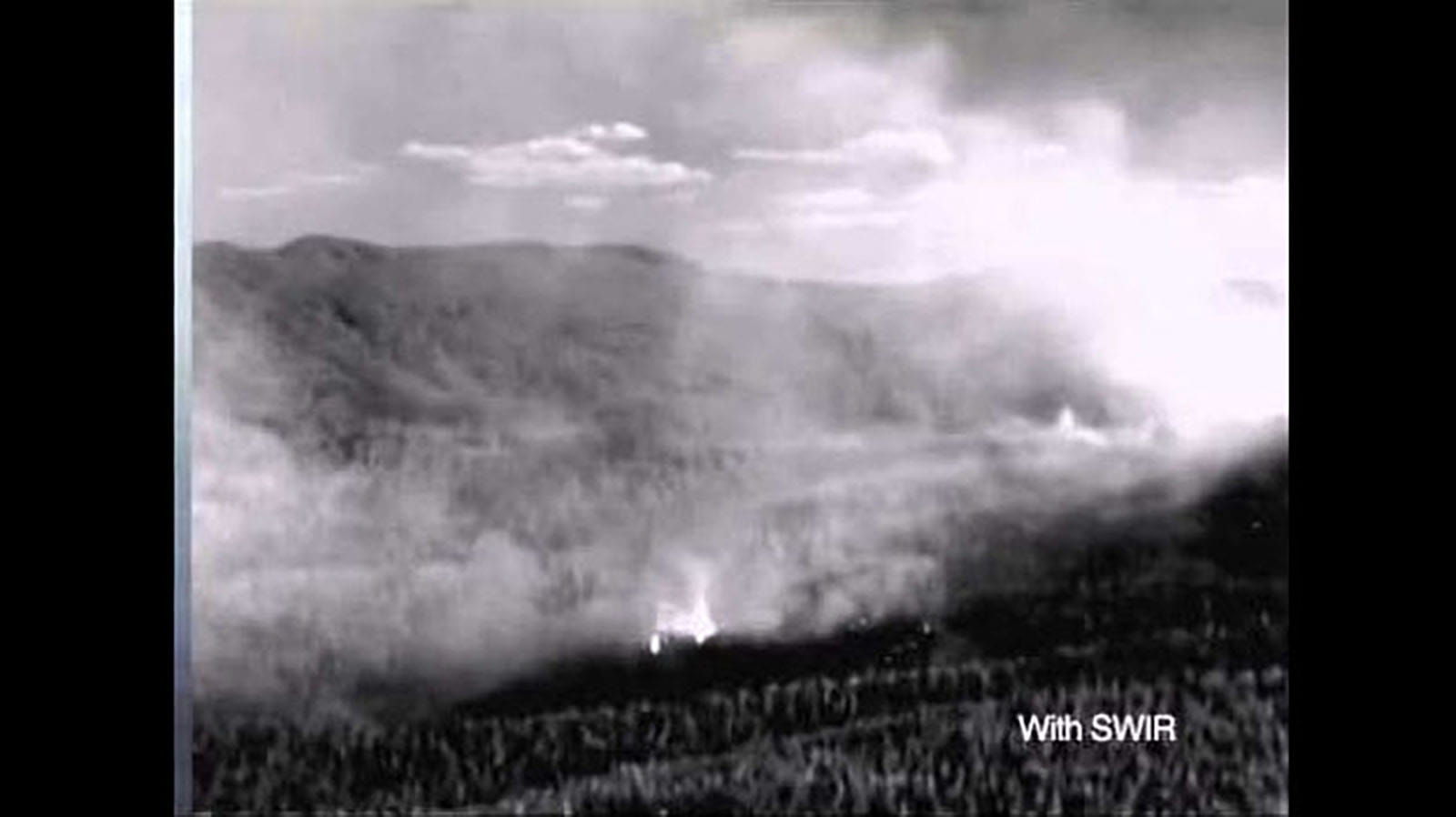 forest fire