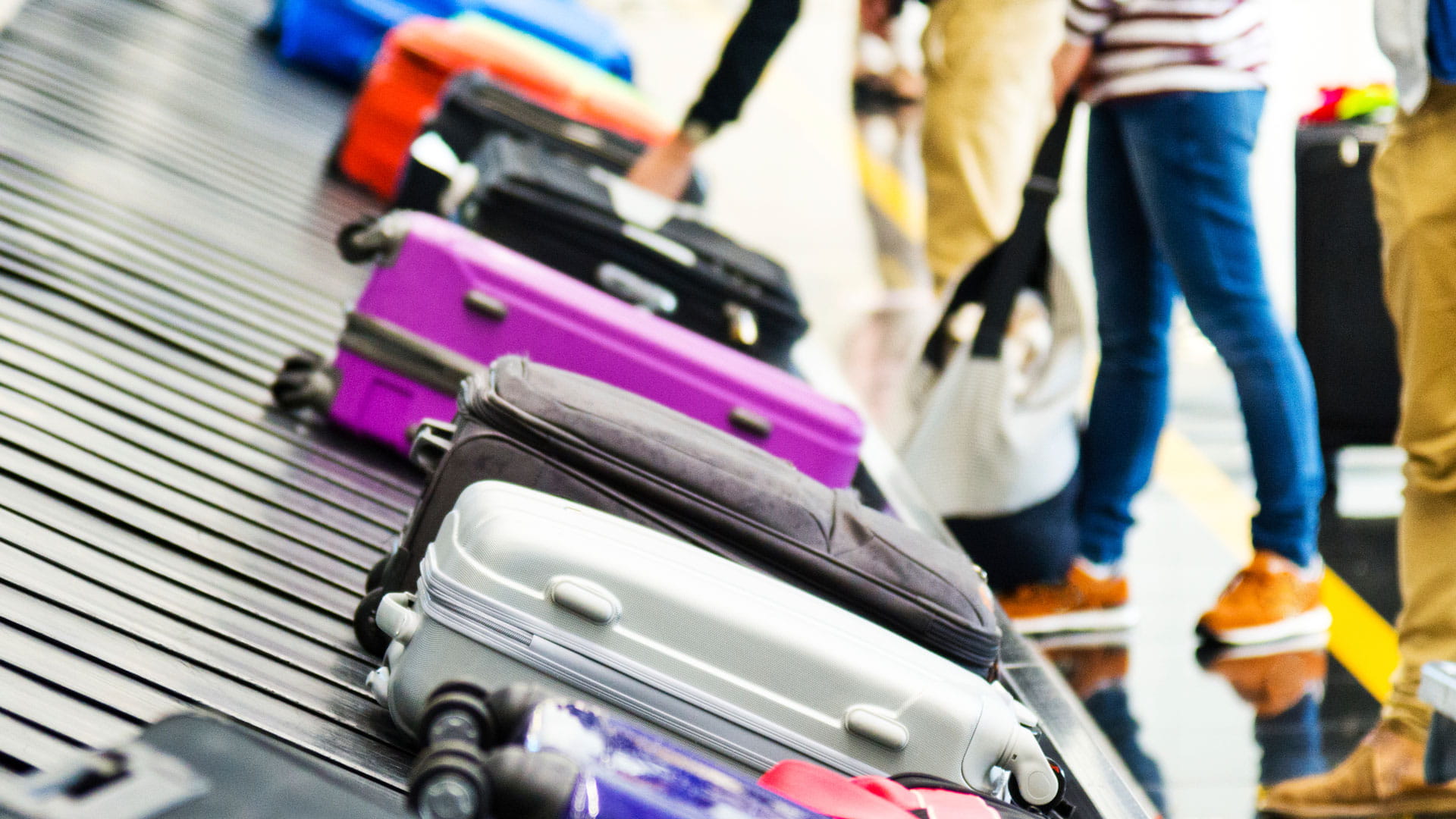 Bags on an airport baggage carousel