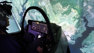 Flight simulator