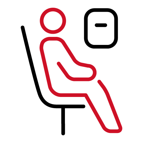 Icon representation of an airline passenger