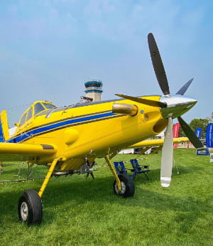 Courtesy of @lifeoflauran