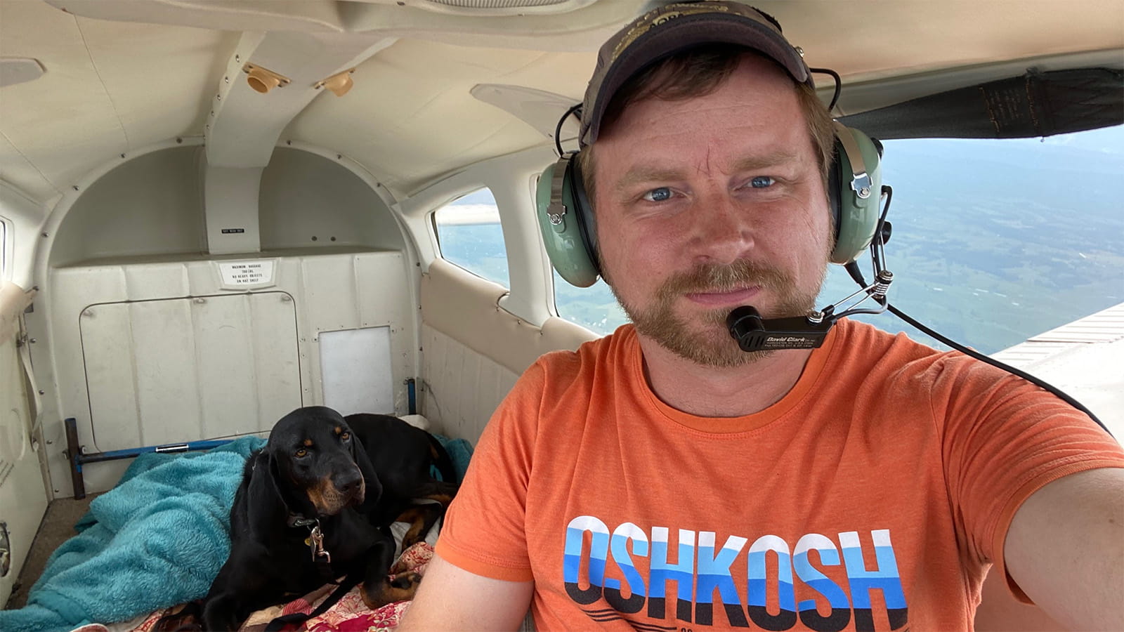 Heroes to rescue dogs2