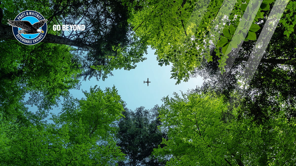 PW_CarbonOffset_GenAv 600pix