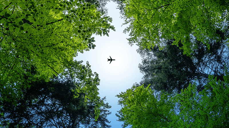 OurCompany-62WeArePratt-fastfact-2-cards-800x450