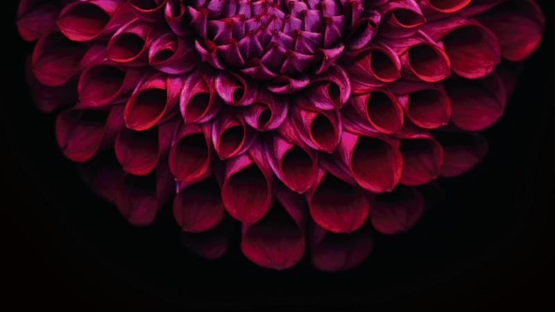 10Products-11GTF-gearedforsustainability-card-800x450