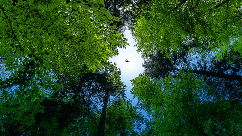 30Sustainability-30Sustainability-GreenerBusiness-card-800x450