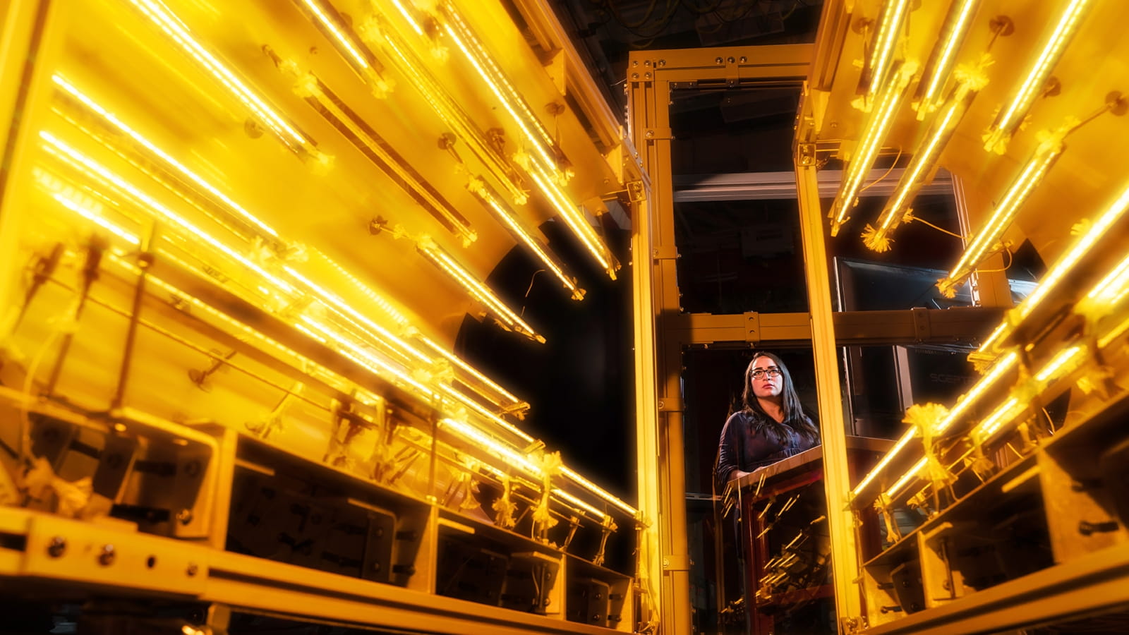 An engineer looks into a hypersonic missile test chamber.