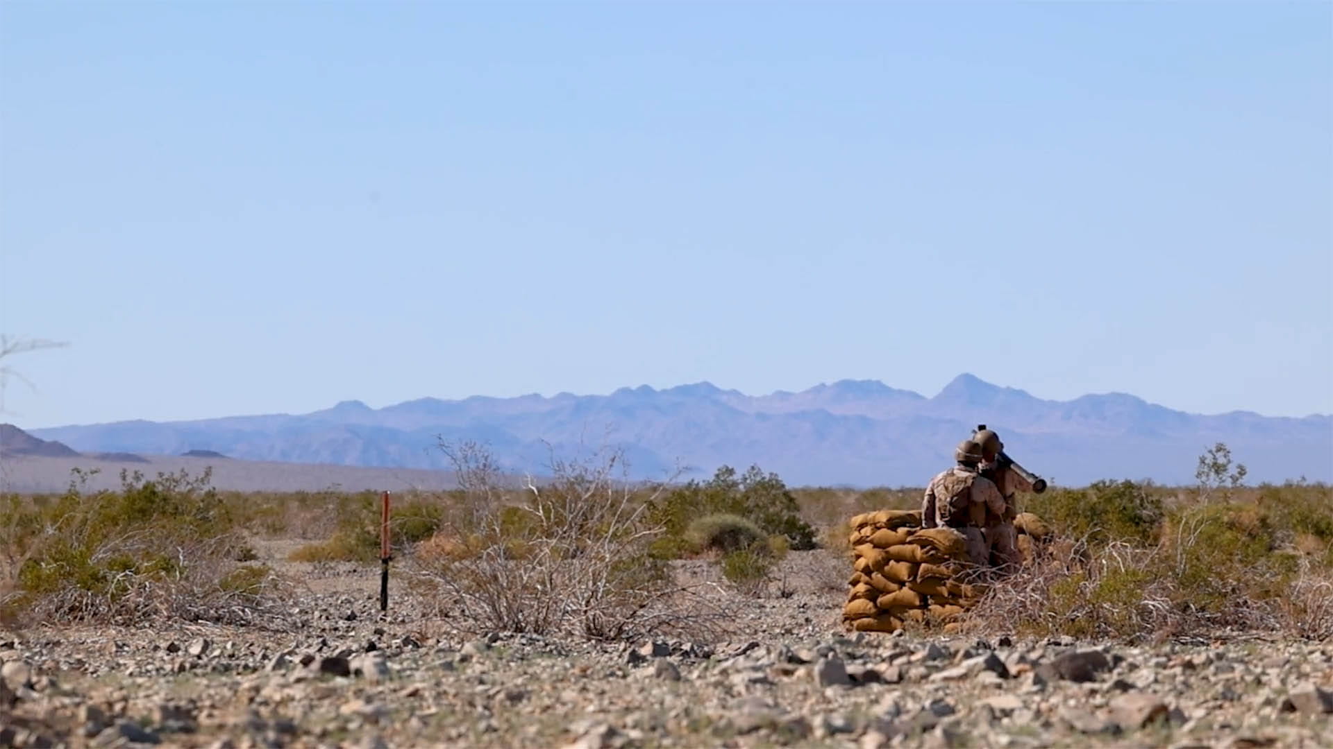 Two soldiers in a field